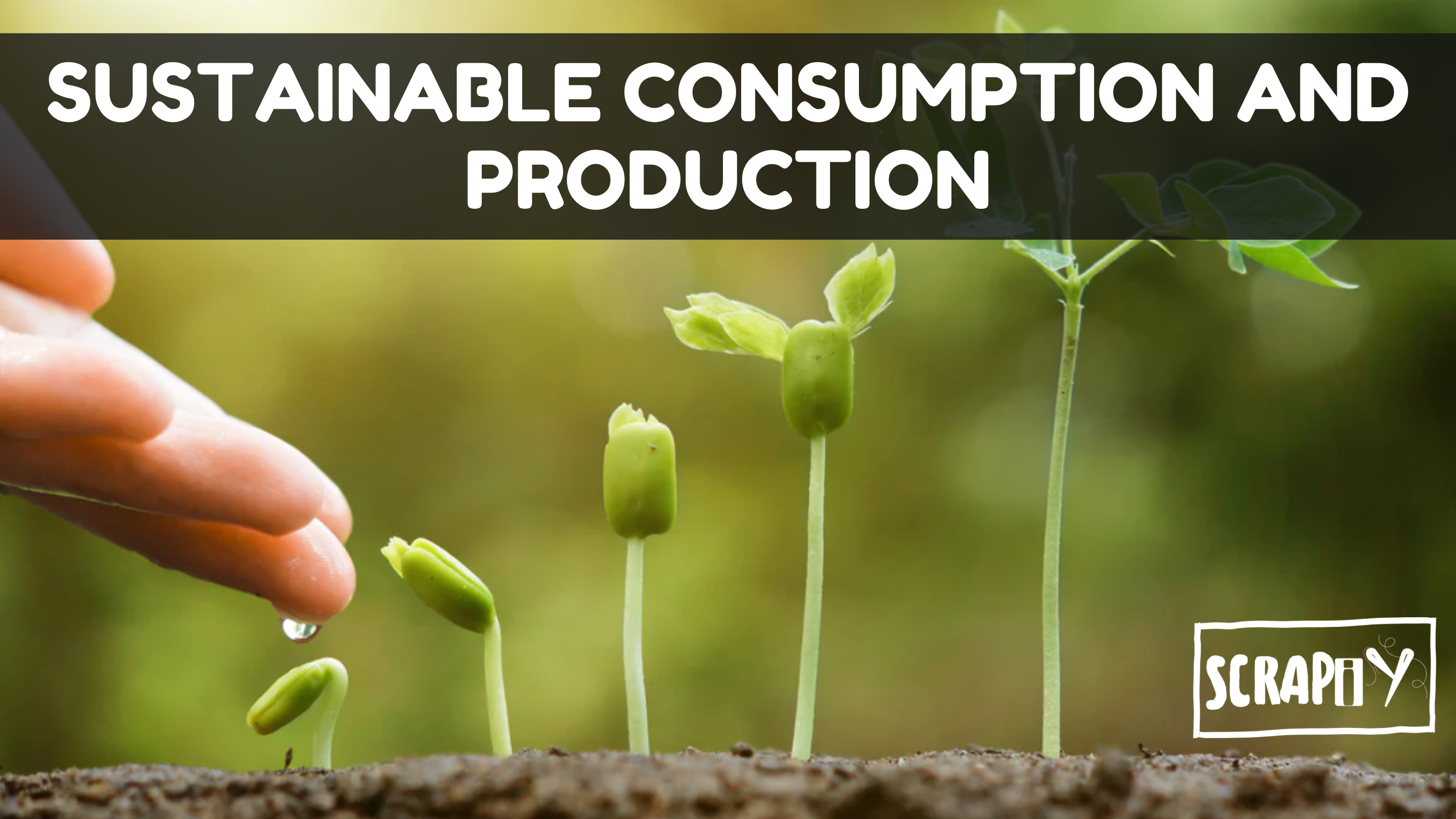 Sustainable Consumption and Production