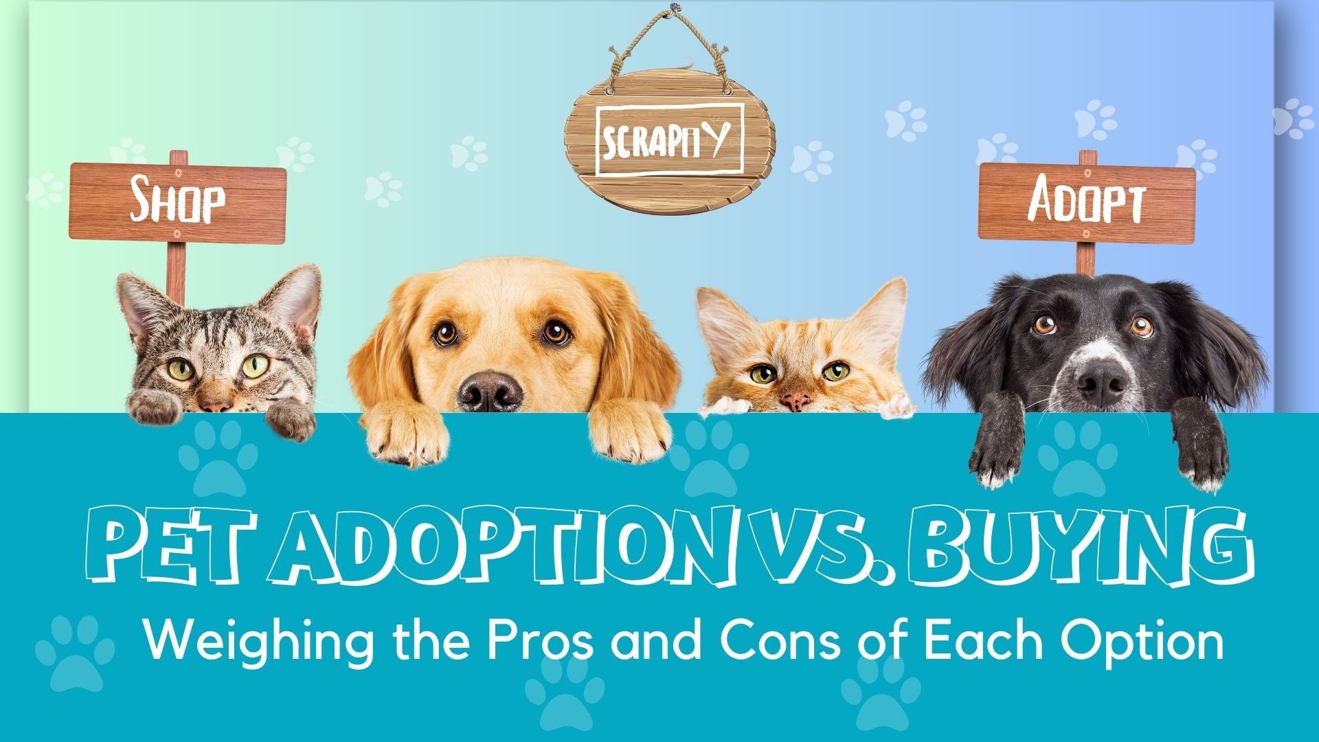 Pet adoption