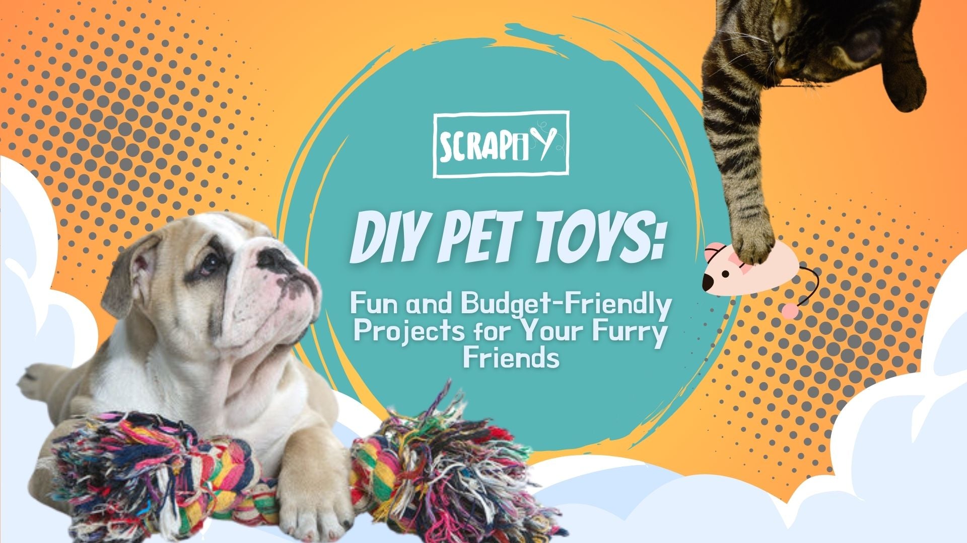 DIY Pet Toys: Fun and Budget-Friendly Projects for Your Furry Friends