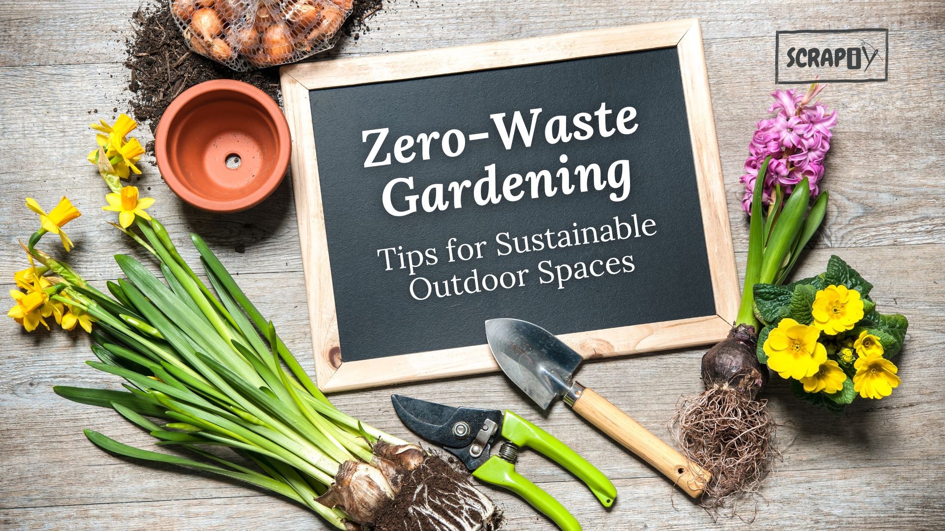 Zero-Waste Gardening: Tips for Sustainable Outdoor Spaces