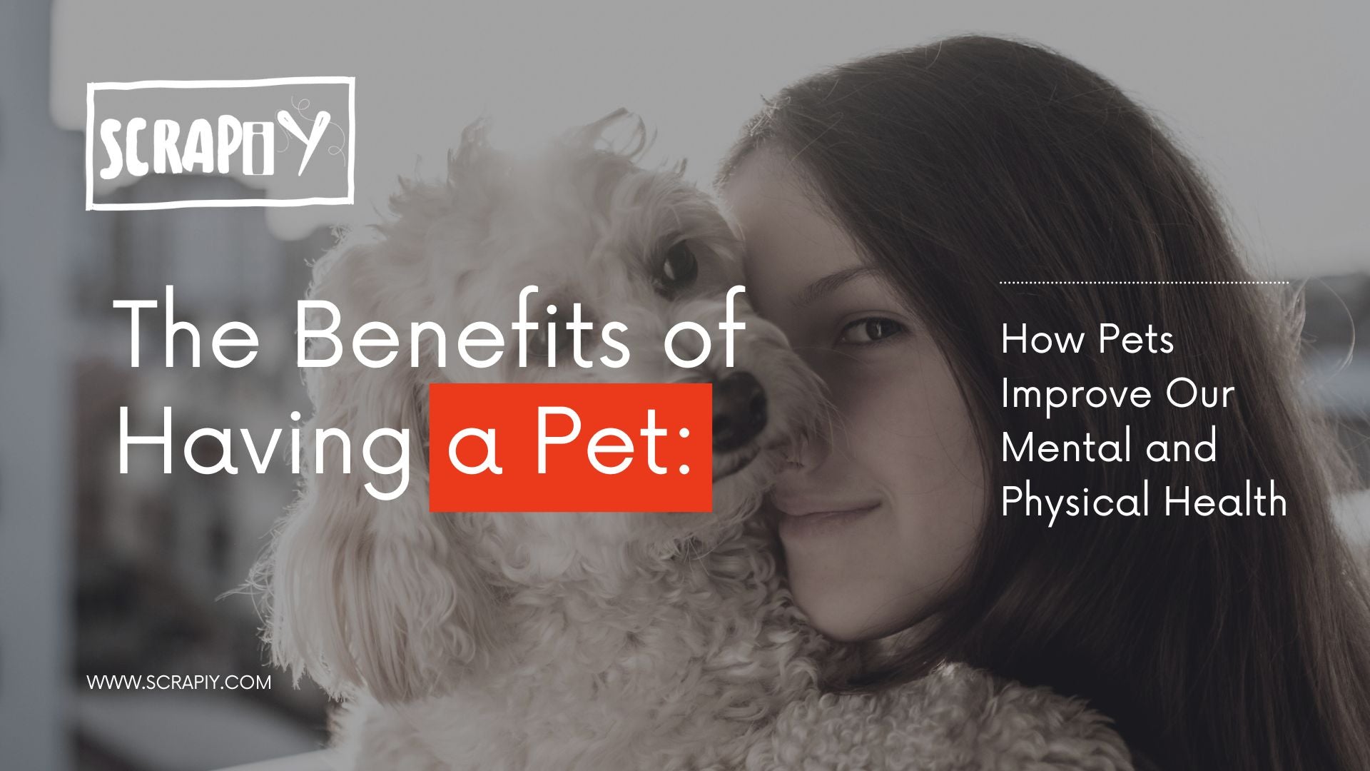 The Benefits of Having a Pet: How Pets Improve Our Mental and Physical Health