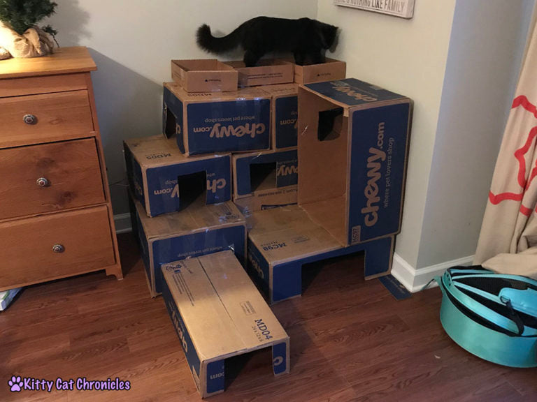 Box Fort for Cats - Cardboard