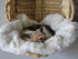 Cat Bed - Bassinet