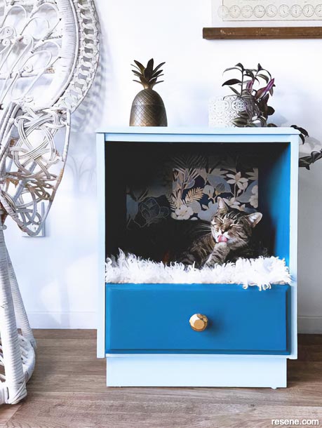 Cat Bed - Bedside Table