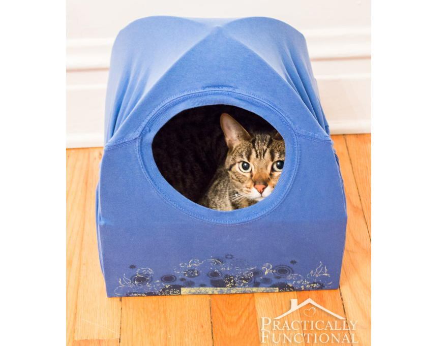 Cat Bed - Box