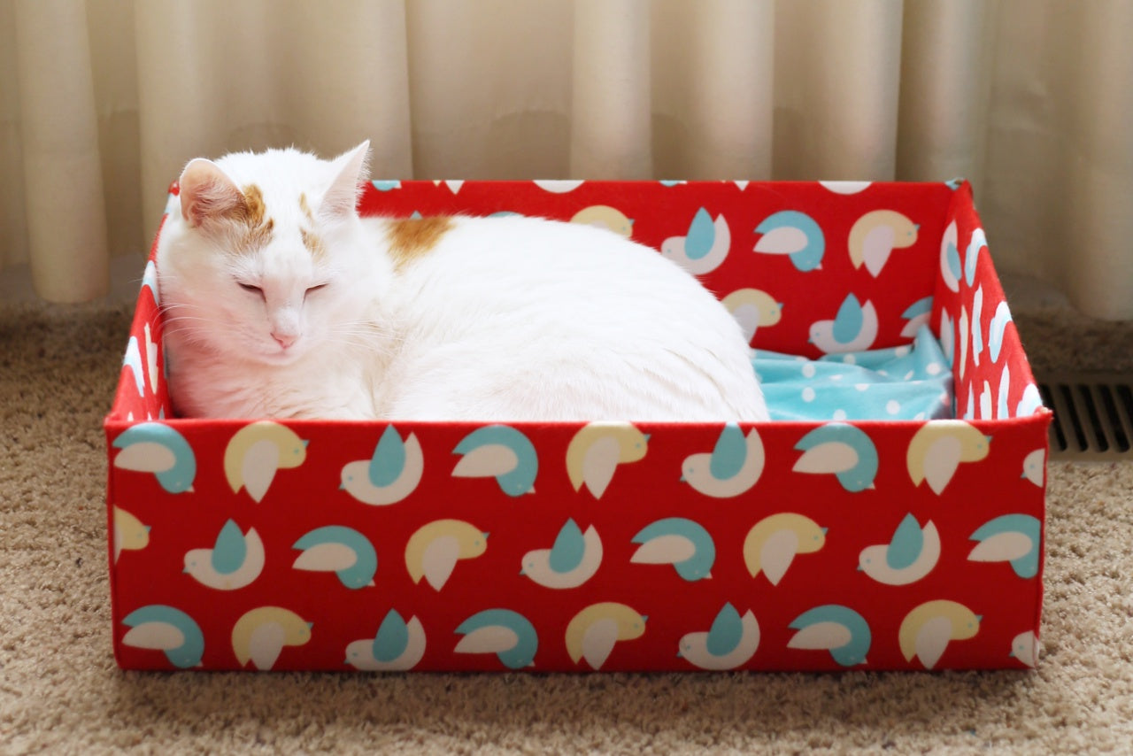Cat Bed - Cardboard