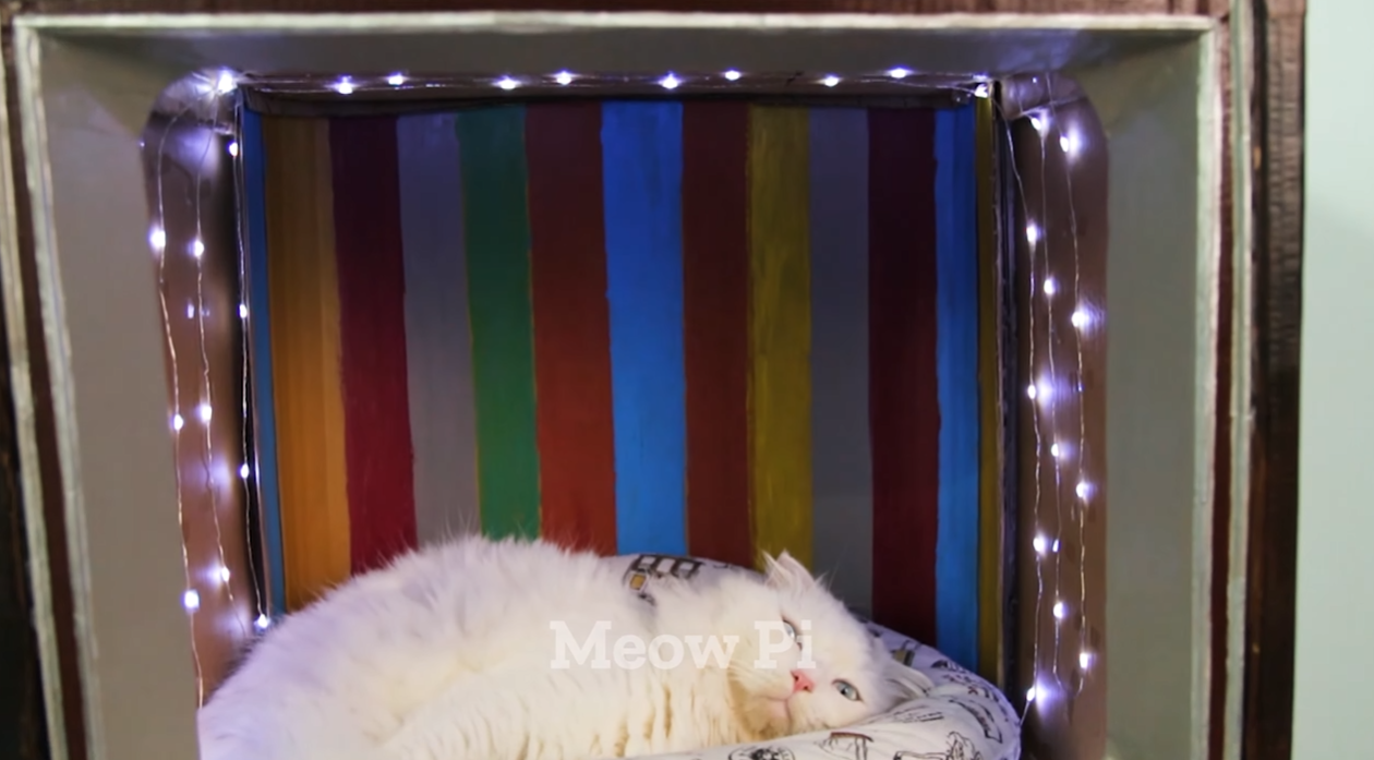 Cat Bed - Cardboard