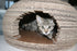 Cat Bed - Cardboard