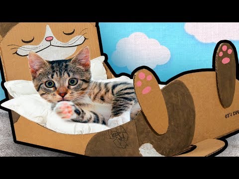 Cat Bed - Cardboard