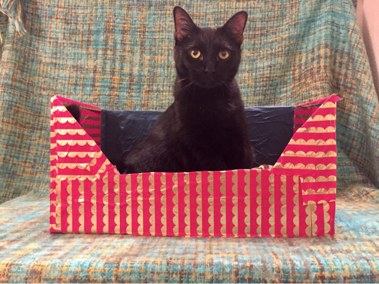 Cat Bed - Cardboard