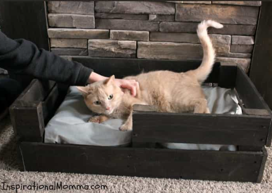Cat Bed - Pallet