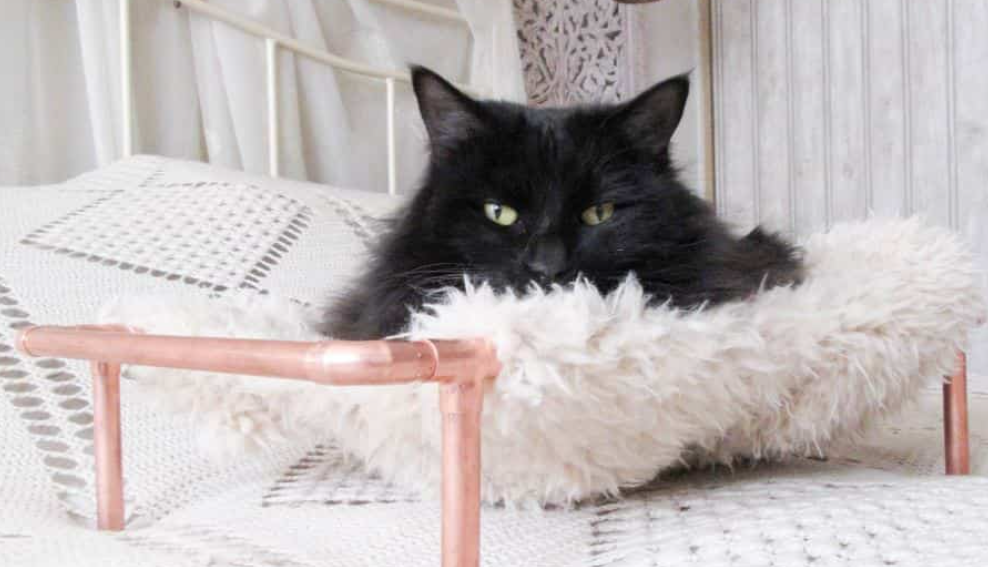 Cat Bed - Sweater