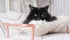 Cat Bed - Sweater