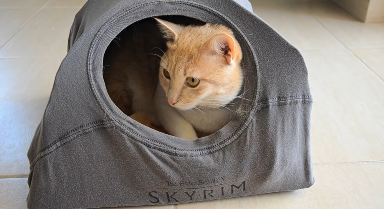 Cat Bed - T Shirt