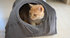 Cat Bed - T Shirt
