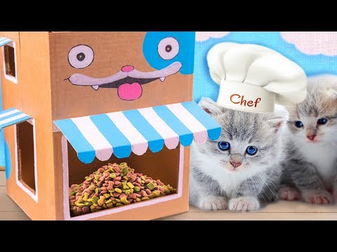 Cat Cafe - Cardboard