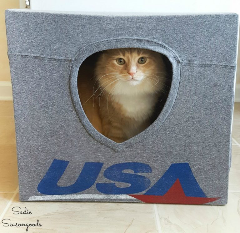 Cat Cave - T Shirt