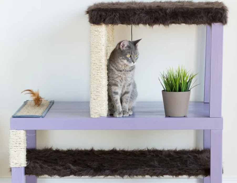 Cat Condo - Coffee Table