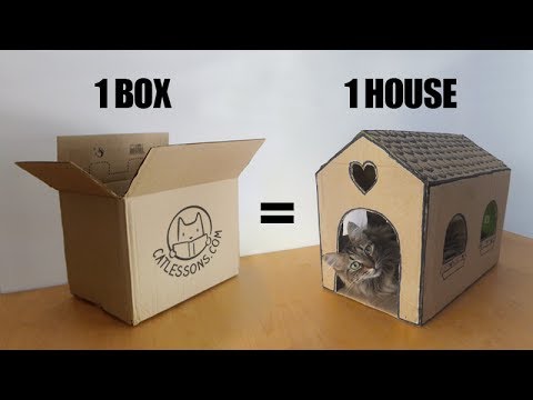 Cat House - Cardboard