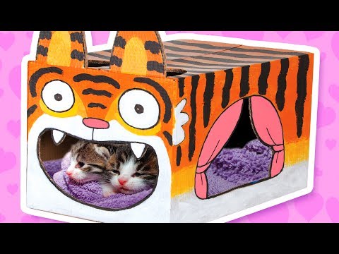 Cat House - Cardboard