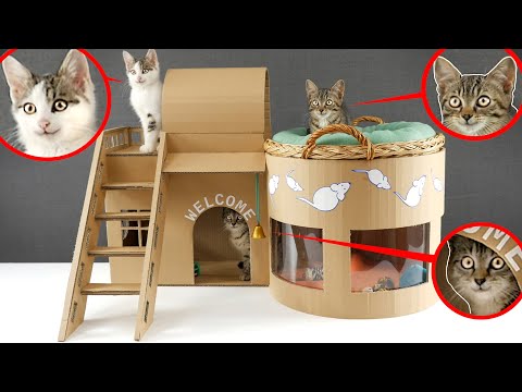 Cat House - Cardboard