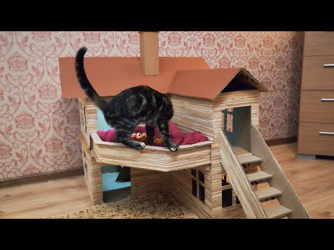 Cat House - Cardboard