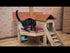 Cat House - Cardboard