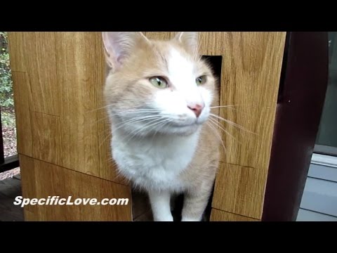 Cat House - Cardboard