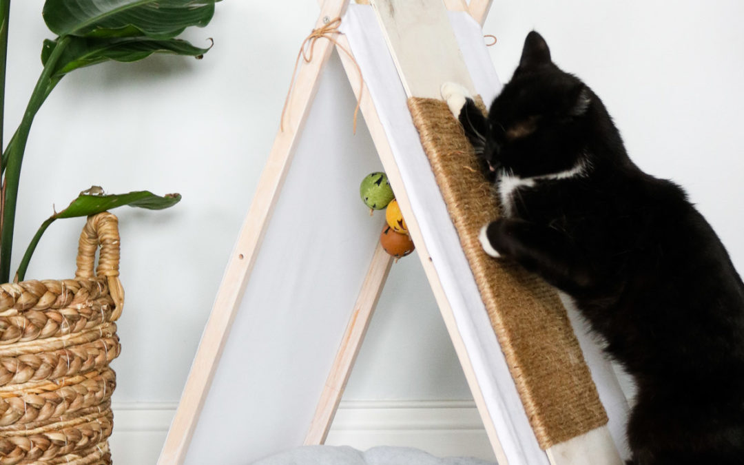 Cat House - TV Tray