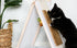 Cat House - TV Tray