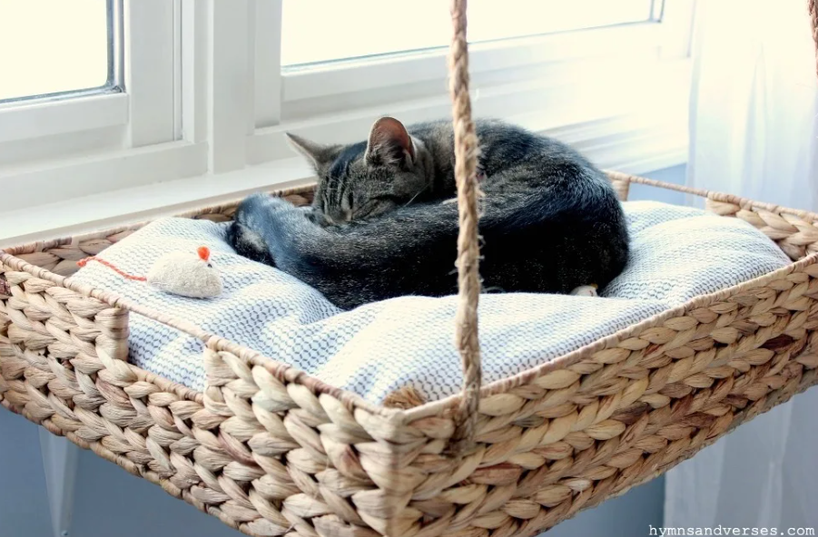 Cat Perch - Basket Tray