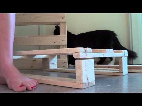 Cat Perch - Pallet
