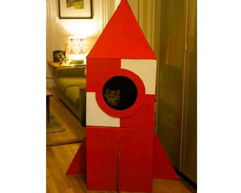 Cat Rocket - Cardboard