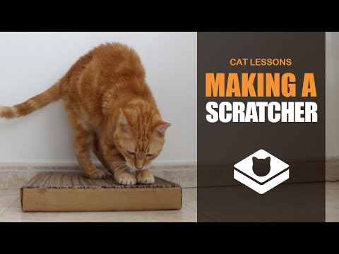 Cat Scratcher - Cardboard