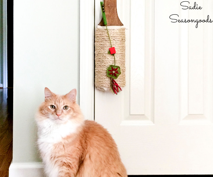 Cat  Scratcher - Cheese Grater