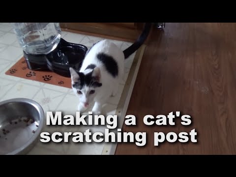 Cat Scratcher - Rope