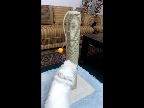 Cat Scratcher - Rope