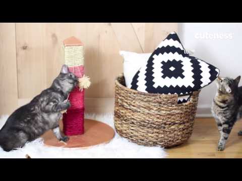 Cat Scratcher - Rope