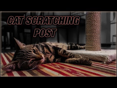 Cat Scratcher - Rope