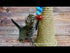 Cat Scratcher - Traffic Cone
