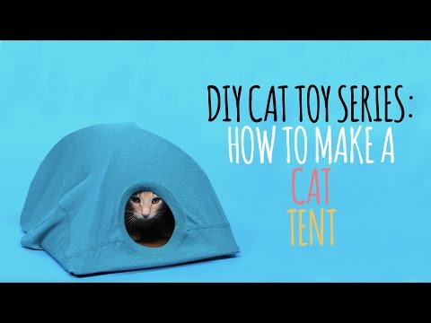 Cat Tent - T Shirt