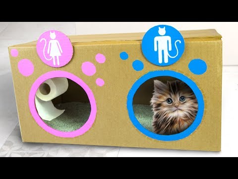 Cat Toilet - Cardboard