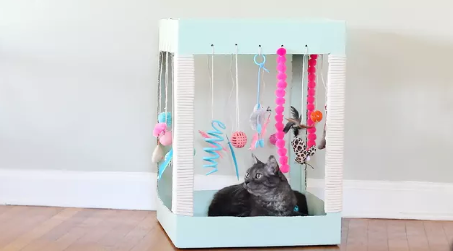 Cat Toy - Cardboard