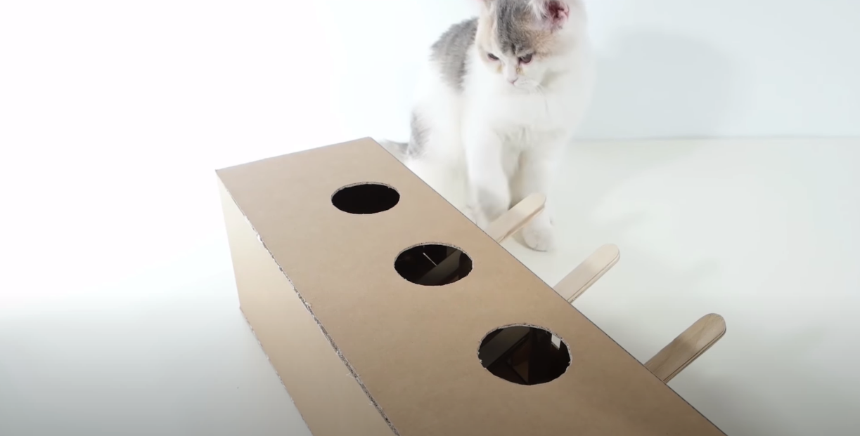 Cat Toy - Cardboard
