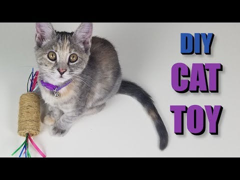 Cat Toy - Paper Towel Roll