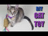 Cat Toy - Paper Towel Roll