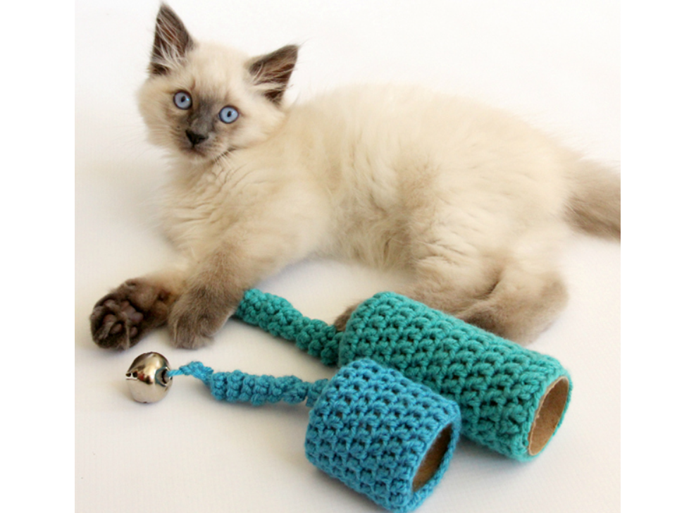 Cat Toy - Toilet Paper Roll