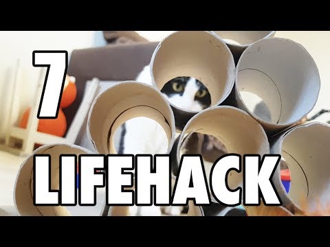Cat Toy - Toilet Paper Roll