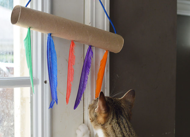 Cat Toy - Toilet Paper Roll
