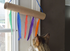 Cat Toy - Toilet Paper Roll